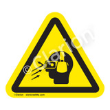 Flying Debris/Loud Noise Label (IS3002-)