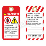 Danger/I Am In This Tag (ST1009a-1)