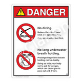 Danger/No Diving Sign (WSS3211-19b-e) )