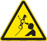 Head impact (FIS4015-)