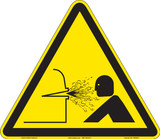 Chamber Under Pressure (FIS4024-)