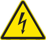 Electrical Shock/Electrocution (FIS6010-)