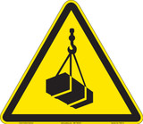 Suspended/Overhead Load (FIS6113-)