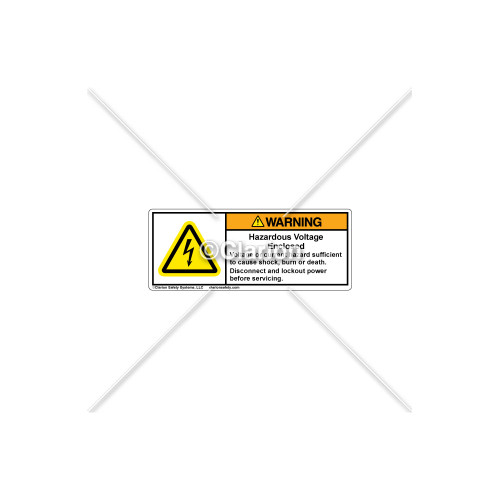 Warning/Hazardous Voltage Label (H6010-EBWHPI)