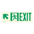 Exit Sign (F1084)